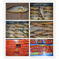 Hot sale yellow croaker gift box packaging